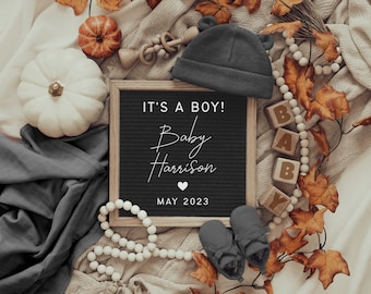 Boy Pregnancy Announcement Digital, Fall Baby Announcement Digital For Social Media, Facebook, Instagram, Baby Boy Reveal