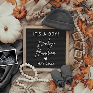 Boy Baby Announcement Digital, Fall Digital Pregnancy Announcement For Social Media, Facebook, Instagram, Baby Boy Reveal