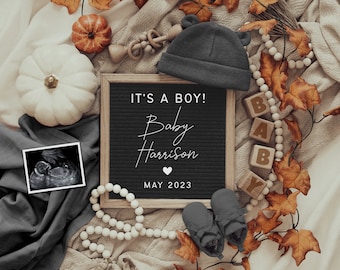 Boy Baby Announcement Digital, Fall Digital Pregnancy Announcement For Social Media, Facebook, Instagram, Baby Boy Reveal