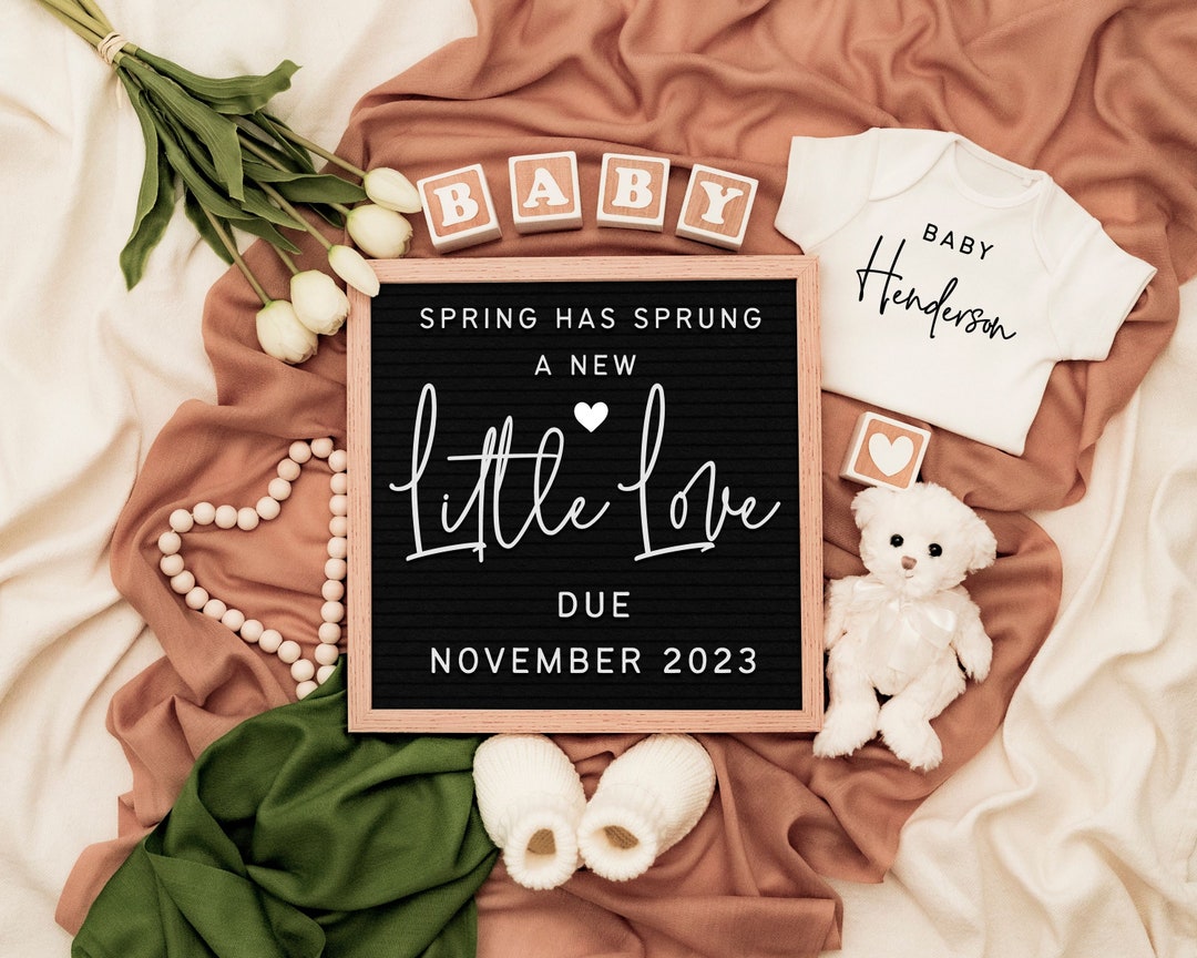 Spring Pregnancy Announcement Digital / Spring Baby Etsy