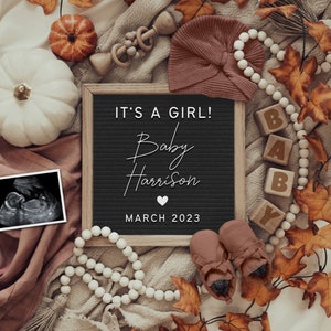 Fall Girl Pregnancy Announcement: Social Media Reveal (Digital)