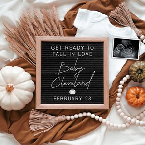 Baby Announcement Digital Fall, Digital Pregnancy Announcement For Social Media, Facebook, Instagram, Fall Pregnancy Reveal Digital