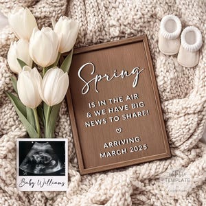 Frühling ist in der Luft Schwangerschaftsankündigung, Oster-Baby-Digital-Enthüllung, bearbeitbarer Instagram-Beitrag, neutrales Frühlingsblumendesign, Ultraschall