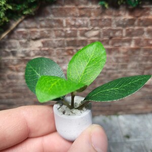 ドールハウスの石鉢植え