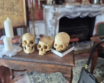 Miniature human skulls in 1/12 scale dollhouse
