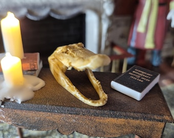 Crocodile skull 1/12 scale