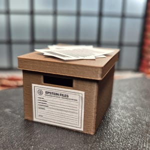 May include: A brown cardboard box labeled "EPSTEIN FILES" with a stack of papers on top. The box has a rectangular opening on the front and is set against a blurred background of a brick wall and window.
