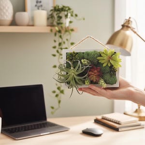 Rectangular Moss Wall Art - Faux Succulent & Air Plant Geometric Decor - Modern Farmhouse - Small Vertical Garden - Housewarming Gift