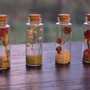 Mini-flesjes gedroogde bloemen met geconserveerd mos | Klein bloementerrarium in gekurkt glas | Esthetisch decor | Cottagecore en Goblincore-cadeau