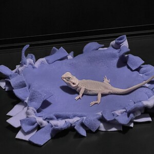 Baby Bearded Dragon Fleece Blanket