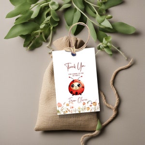Modello di etichetta di ringraziamento coccinella, etichetta di ringraziamento modificabile, etichetta coccinella stampabile, download istantaneo, etichetta di ringraziamento piccola signora, compleanno bambini