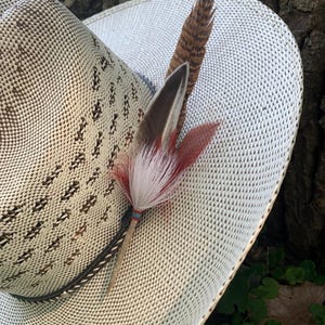 Small Pheasant Feather, Western Feather, Hand Crafted Hat Feather, Cowboy Hat, Western Accessories, Cowboy Style, Feather Hat Accent