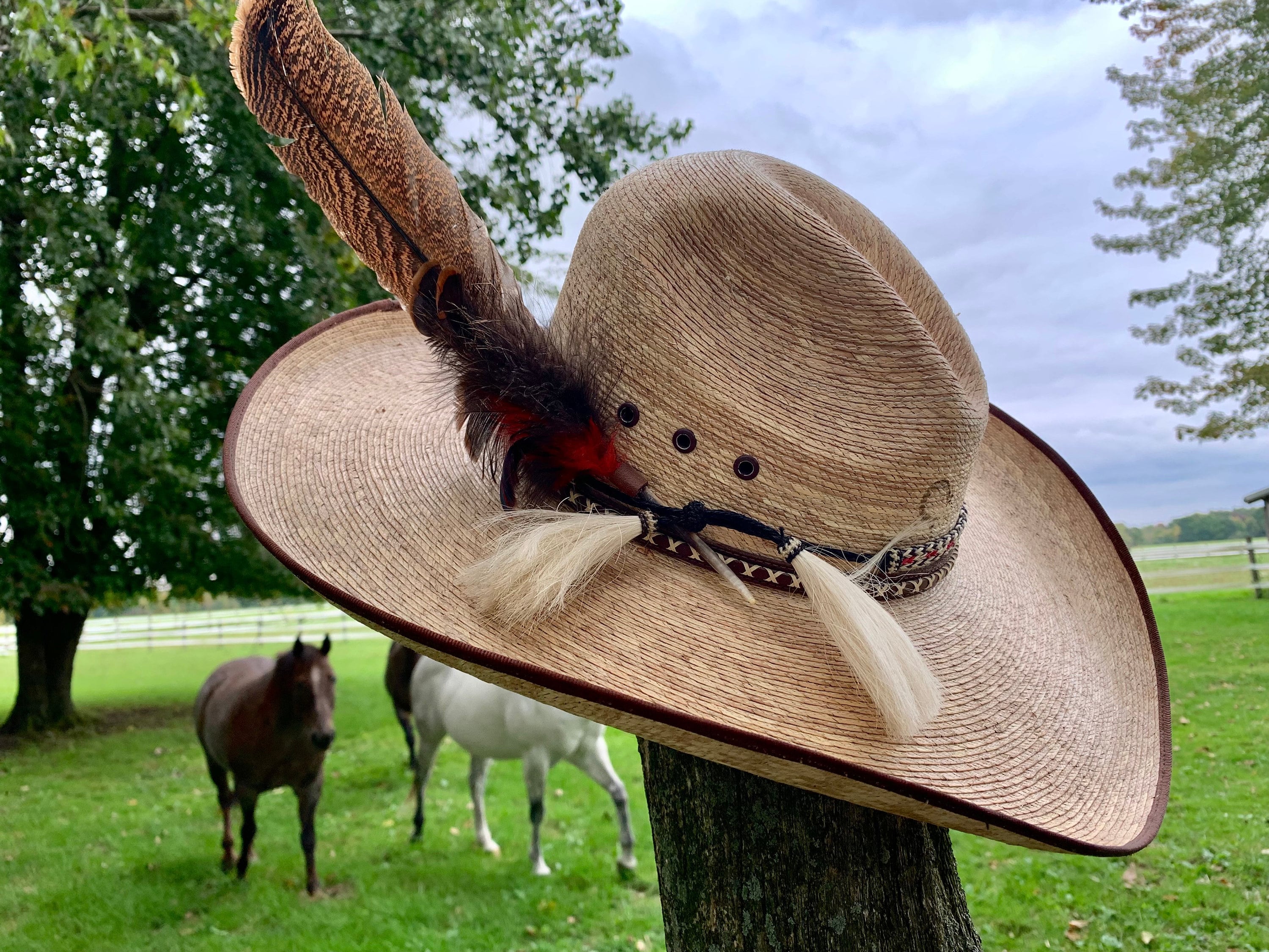 Hat Feathers for Men, Women, Unisex, Handmade, Western Style, Texas  Cowboys, Trilby, Fedora Hat. 