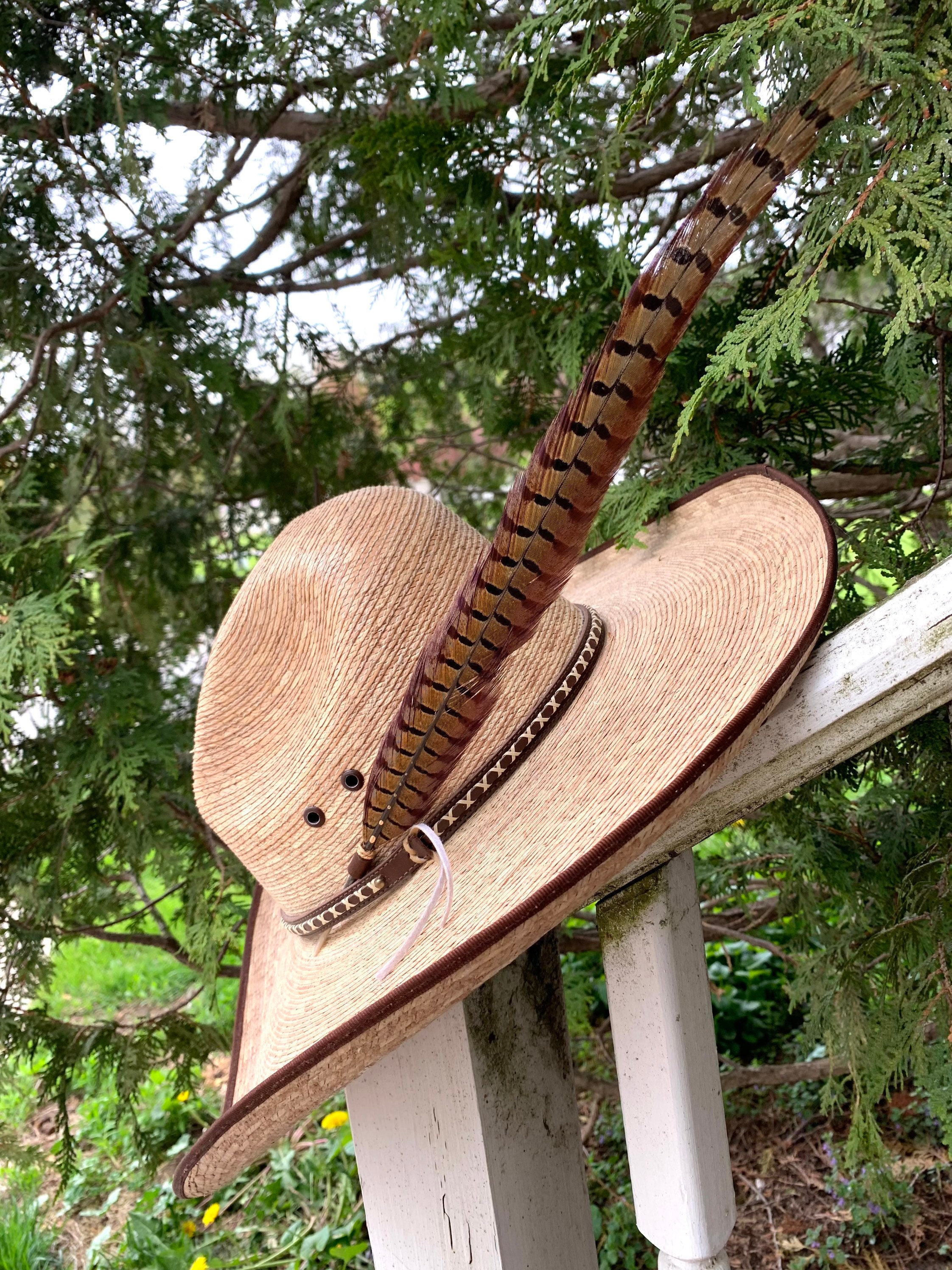 theloftyfeather Pheasant Tail Buckaroo Cowboy Hat Feather Western Hat Feather, Buckaroo Hat Feather, Feather Adornment for Hat, Cowboy Hat Embellishment