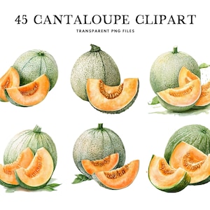 Watercolor Cantaloupe Clipart, Cantaloupe Png Bundle, Fruit Clip Art, Illustration, Design, Free Commercial Use, Instant Digital Download