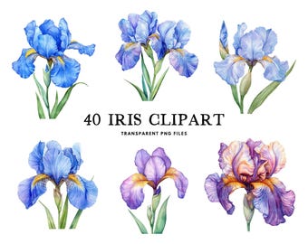 Watercolor Iris Clipart Bundle, Iris Png, Flower Clip Art, Floral Illustration, Iris Flower Design, Commercial Use, Instant Digital Download