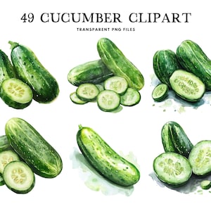 Bundle de cliparts aquarelle concombre, concombre Png, légume clipart, illustration, conception, usage commercial gratuit, téléchargement immédiat