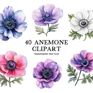 Watercolor Anemone Clipart Bundle, Anemone Png, Flower Clip Art, Floral Illustration, Anemone Flower Design, Instant Digital Download