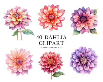 Watercolor Dahlia Clipart Bundle, Dahlia Png, Flower Clip Art, Floral Illustration, Dahlia Flower Design, Instant Digital Download