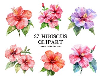 Watercolor Hibiscus Clipart Bundle, Hibiscus Png, Flower Clip Art, Floral Illustration, Hibiscus Flower Design, Instant Digital Download