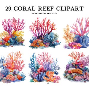 Watercolor Coral Reef Clipart Bundle, Coral Reef Png, Ocean Clip Art, Sea Illustration, Underwater Design, Nautical, Digital Download