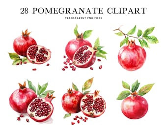 Clipart z granatem w akwareli, pakiet PNG, clipart z owocami, ilustracja, projekt, bezpłatne wykorzystanie komercyjne, natychmiastowe pobranie cyfrowe