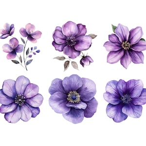 以下が含まれることがあります： 紫色の花の水彩画のイラストが6つあります。花はさまざまな開花段階にあり、形やサイズが異なります。花は白い背景に孤立しています。