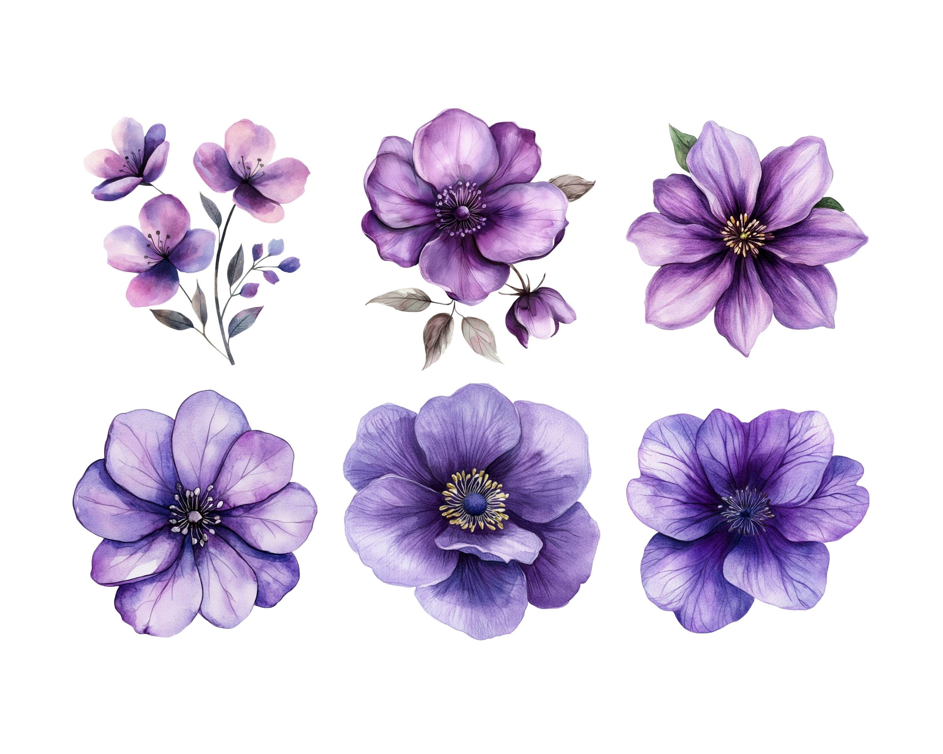 Watercolor Purple Flower Clipart Bundle, Purple Flower Png, Floral Clip ...