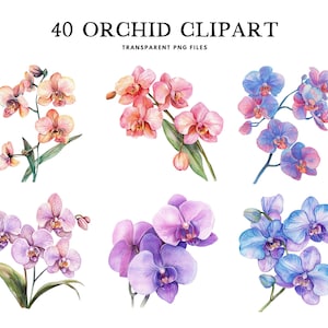 Watercolor Orchid Clipart Bundle, Orchid Png, Flower Clip Art, Floral Illustration, Orchid Flower Design, Instant Digital Download