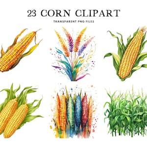 Watercolor Corn Clipart Bundle, Corn Png, Vegetable Clip Art, Illustration, Design, Free Commercial Use, Instant Digital Download