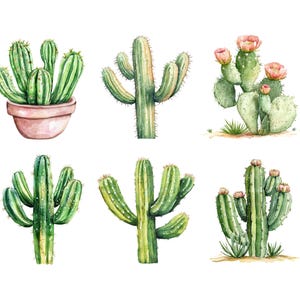 May include: Watercolor illustration of various cacti in shades of green, with some featuring pink flowers. One cactus is potted in a light pink pot. The image has a white background, highlighting the desert plant details.
