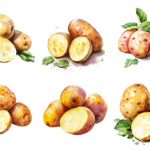 Watercolor Potatoes Clipart, Png Bundle, Vegetable Clip Art ...