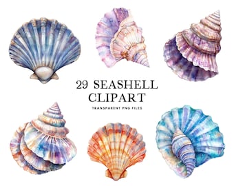 Akvarell snäckskal clipart paket, snäckskal png, snäckskal clipart, strandillustration, nautisk design, hav, kust, tropisk