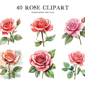 Watercolor Rose Clipart Bundle, Rose Png, Flower Clip Art, Floral Illustration, Rose Flower Design, Commercial Use, Instant Digital Download