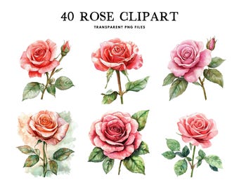 Watercolor Rose Clipart Bundle, Rose Png, Flower Clip Art, Floral Illustration, Rose Flower Design, Commercial Use, Instant Digital Download