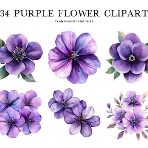 Pacote de clipart de flor roxa aquarela, flor roxa png, clipart floral, ilustração de flor, design floral roxo, download digital