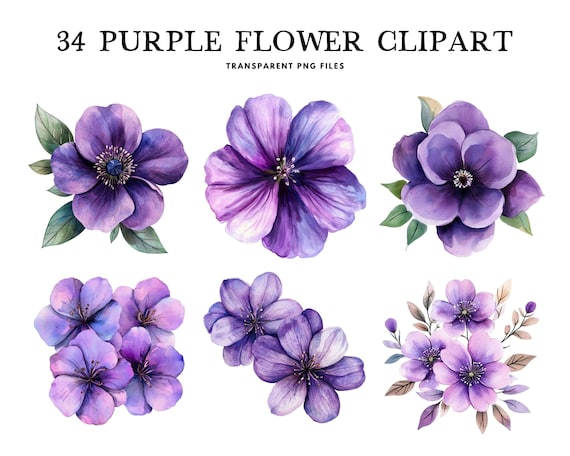 Watercolor Purple Flower Clipart Bundle, Purple Flower Png, Floral Clip Art, Flower Illustration, Purple Floral Design, Digital Download