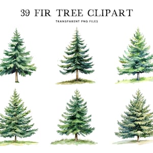 Puede incluir: Conjunto de imágenes prediseñadas de acuarela con 39 abetos en varios estilos. Los árboles están representados en tonos verdes y marrones, con un formato de archivo PNG transparente. El texto en la parte superior dice "39 FIR TREE CLIPART".