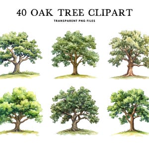 Pacchetto clipart di alberi di quercia ad acquerello, png di alberi di quercia, clipart di alberi, illustrazione di foresta, design di alberi rustici, natura, bosco, download digitale