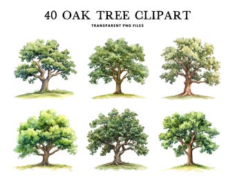 Watercolor Oak Tree Clipart Bundle, Oak Tree Png, Tree Clip Art, Forest Illustration, Rustic Tree Design, Nature, Woodland, Digital Download