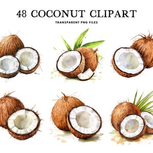 Könnte beinhalten: Aquarell-Clipart mit sechs Illustrationen von Kokosnüssen, einige ganz und einige halbiert, die das weiße Fruchtfleisch zeigen. Der Text "48 COCONUT CLIPART" steht oben, darunter "TRANSPARENT PNG FILES".