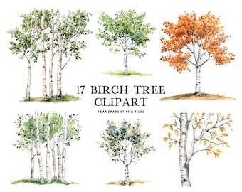 Watercolor Birch Tree Clipart, Birch Tree Png, Birch Tree Clip Art Design File, Commercial Use, Instant Digital Download