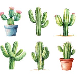 May include: Watercolor illustration of six different cacti. The cacti are various shades of green, with some featuring pink flowers. One cactus is potted in a blue pot, and another in a terracotta pot. The background is white.
