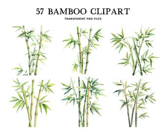 Watercolor Bamboo Clipart, Bamboo Png Bundle, Bamboo Forest Clip Art, Bamboo Stalk Illustration, Plant Design, Landscape, Digital Download