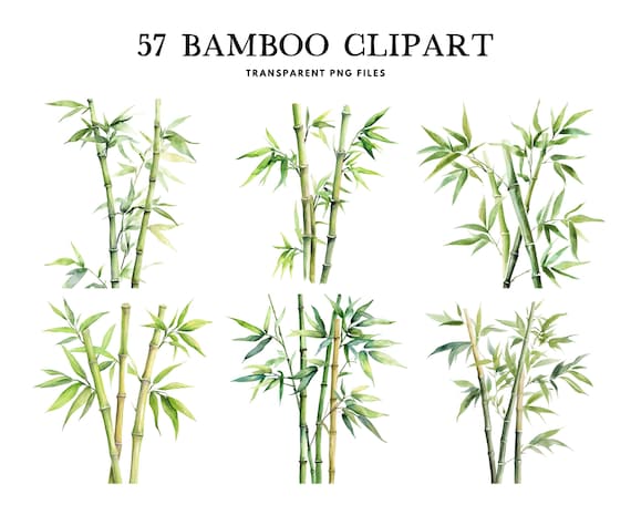 Watercolor Bamboo Clipart, Bamboo Png Bundle, Bamboo Forest Clip Art, Bamboo Stalk Illustration, Plant Design, Landscape, Digital Download