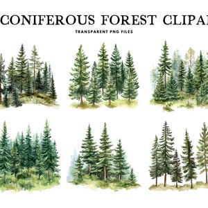 Watercolor Coniferous Forest Clipart Bundle, Png, Coniferous Clip Art, Forest Illustration, Conifer Design, Pine Forest, Woodland, Nature