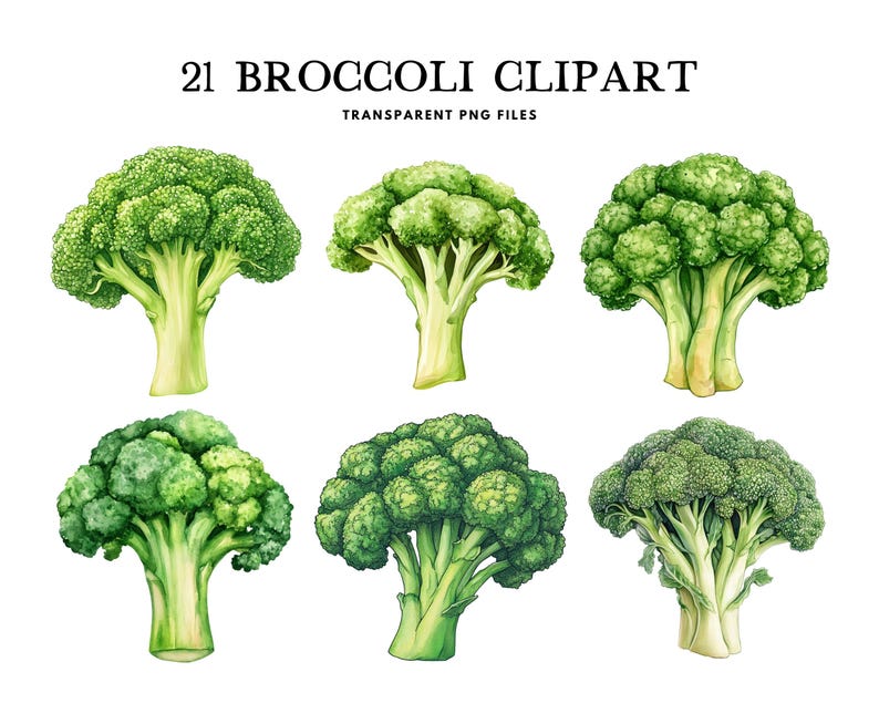 Watercolor Broccoli Clipart, Broccoli Png Bundle, Vegetable Clip Art ...