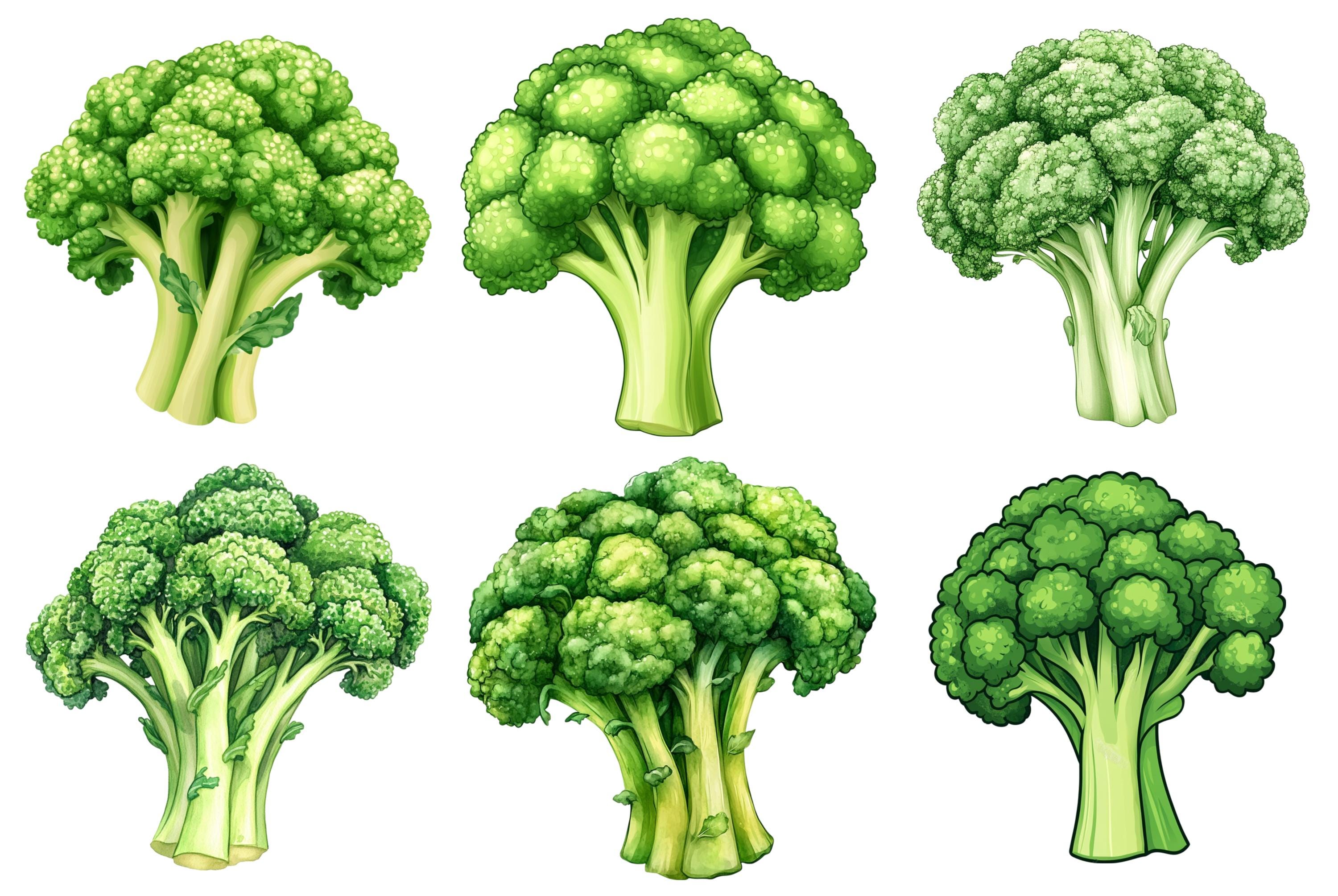 Watercolor Broccoli Clipart, Broccoli Png Bundle, Vegetable Clip Art ...