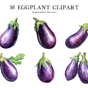 Watercolor Eggplant Clipart Bundle, Eggplant Png, Eggplant Vegetable Clip Art, Vegetable Illustration, Design, Instant Digital Download
