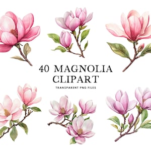 Watercolor Magnolia Clipart Bundle, Magnolia Png, Flower Clip Art, Floral Illustration, Magnolia Flower Design, Instant Digital Download